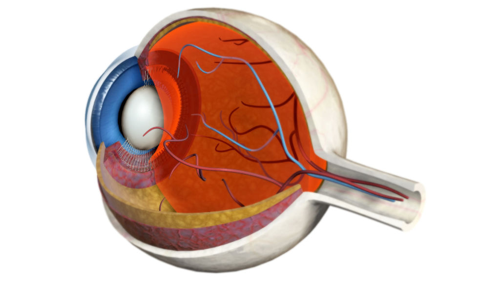 Apa Itu Ablasio Retina? Penyebab, Gejala, dan Penanganannya