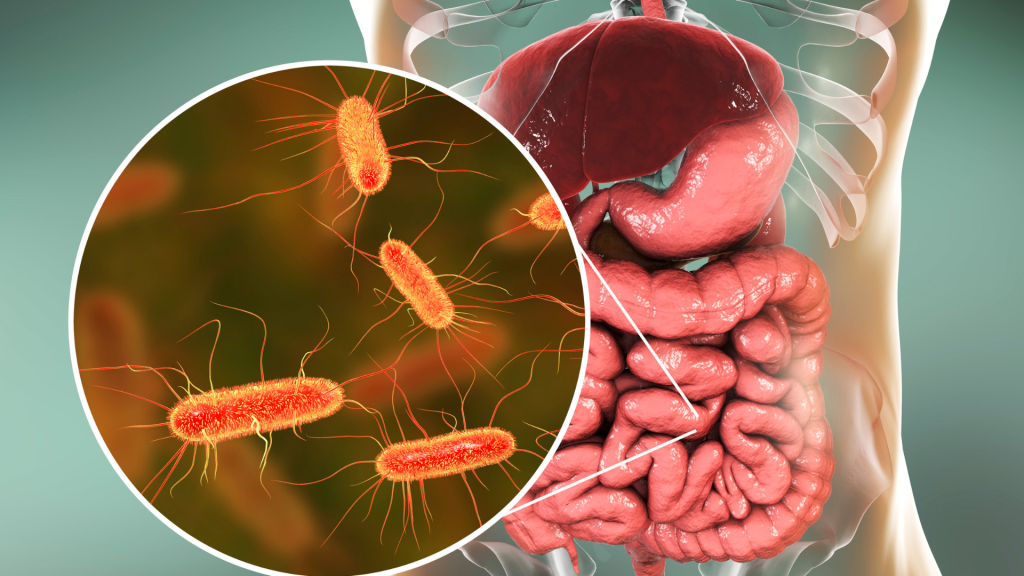 Mikrobioma Usus: Kumpulan Bakteri Baik yang Menentukan Kesehatan Anda