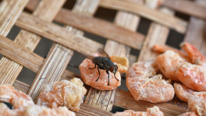 Makanan dan Minuman yang Harus Dihindari Saat Diare