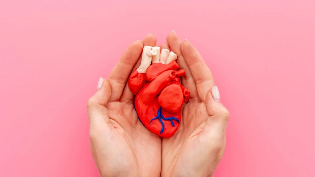 Jantung adalah motor biologis yang terus bekerja tanpa henti untuk mengalirkan oksigen dan nutrisi ke seluruh tubuh.