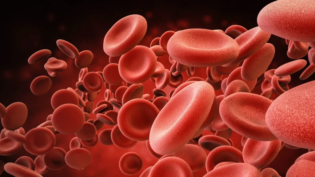 Blood culture atau kultur darah adalah prosedur penting untuk mendeteksi infeksi dalam aliran darah.