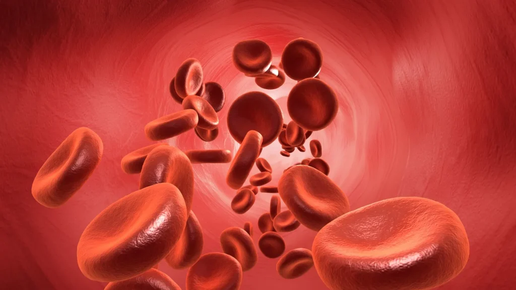 Ketika hasil blood culture menunjukkan positif, artinya ada mikroorganisme terdeteksi dalam darah pasien.