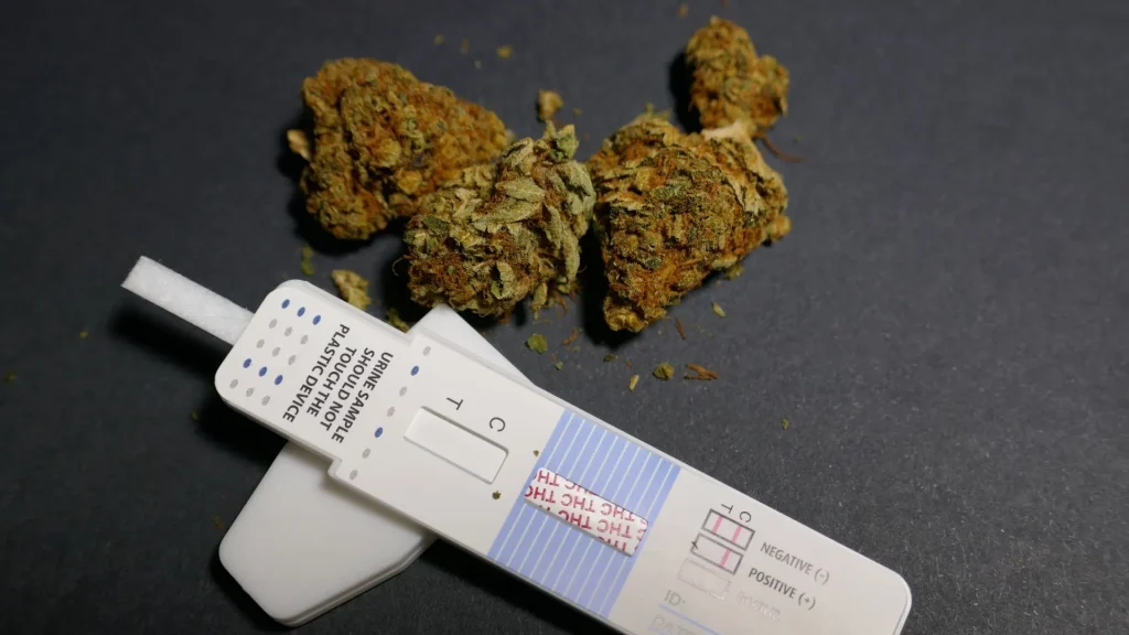 Tes narkoba berbasis urin digunakan secara luas karena kemudahan dan kecepatan dalam mendeteksi zat terlarang.