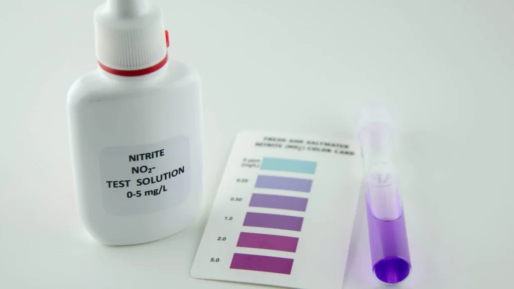 Infeksi saluran kemih (ISK) merupakan salah satu penyakit yang sering dijumpai di berbagai kelompok usia, mulai dari anak-anak hingga lansia.