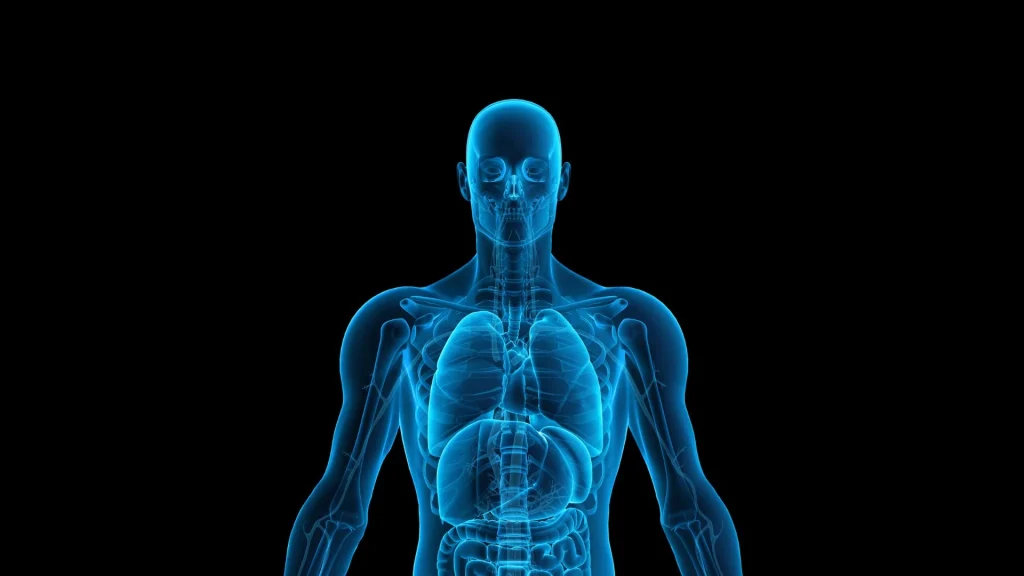 Body composition analyzer memberikan penilaian menyeluruh terhadap distribusi jaringan dalam tubuh, termasuk lemak, otot, cairan, dan mineral.