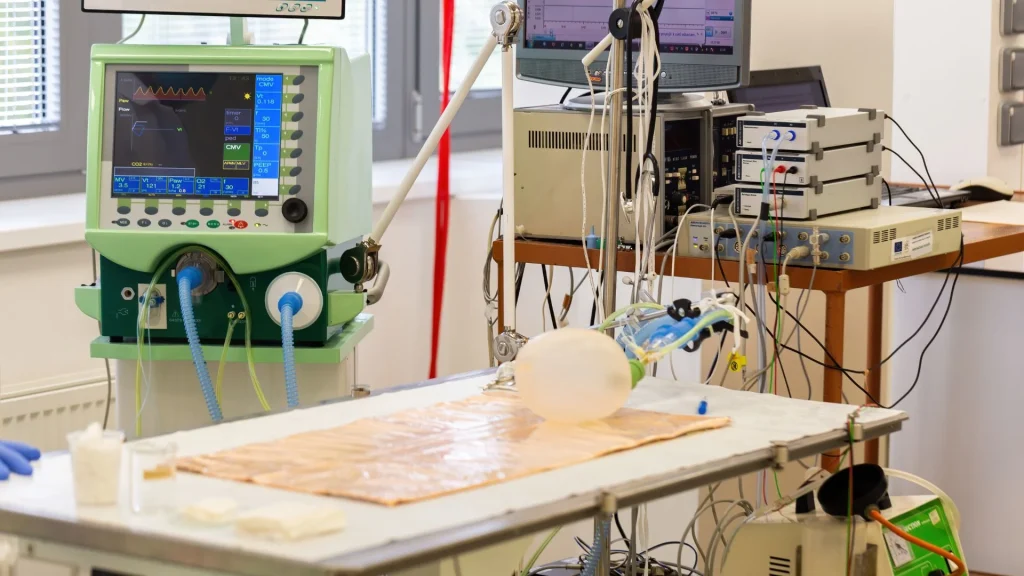 Dukungan napas dini bertujuan menjaga alveoli tetap terbuka sejak awal kehidupan.