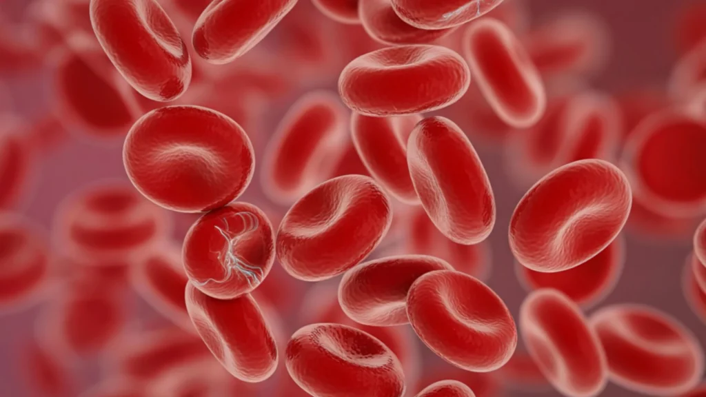 Hematology analyzer dengan kapasitas high throughput menjadi komponen penting bagi rumah sakit besar yang memiliki volume pemeriksaan tinggi setiap hari.