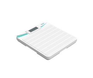 Digital Flat Scale 100s