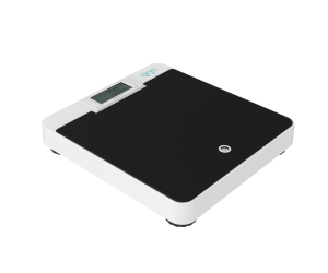 Digital Flat Scale